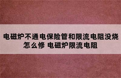 电磁炉不通电保险管和限流电阻没烧怎么修 电磁炉限流电阻